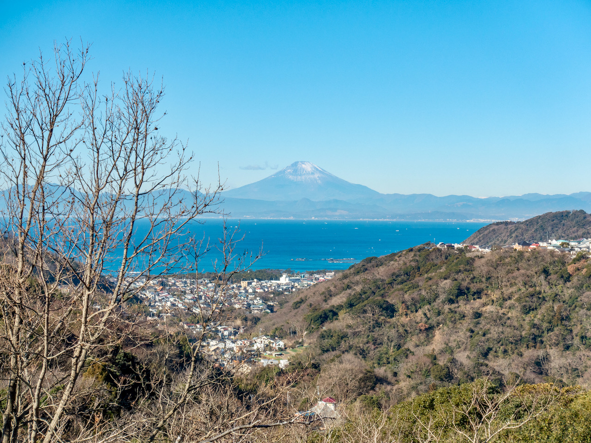 f:id:saetta0404:20210111083029j:plain