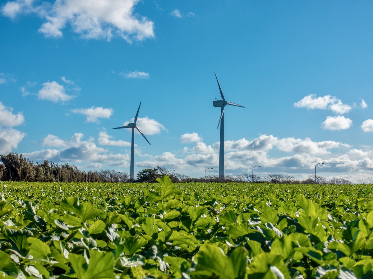 f:id:saetta0404:20210111083341j:plain