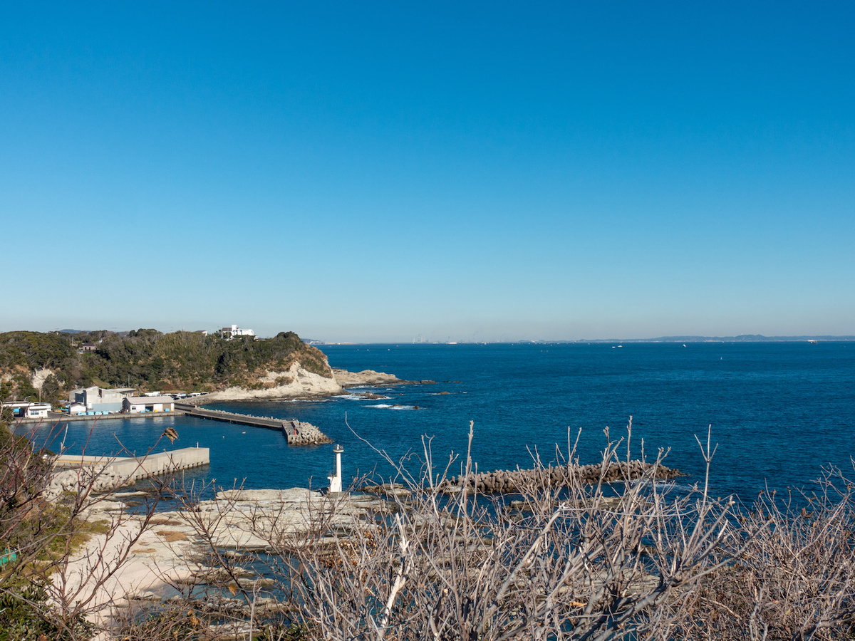 f:id:saetta0404:20210111083837j:plain