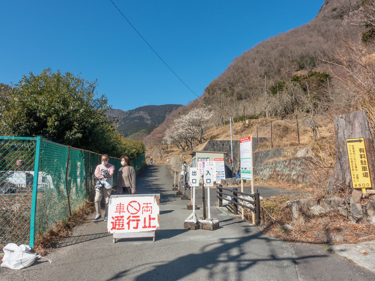 f:id:saetta0404:20210207091425j:plain