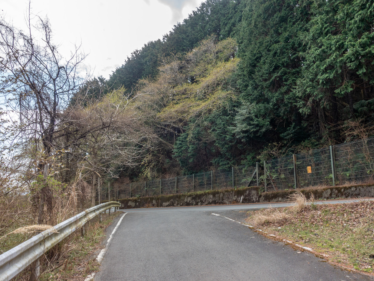 f:id:saetta0404:20210328092327j:plain