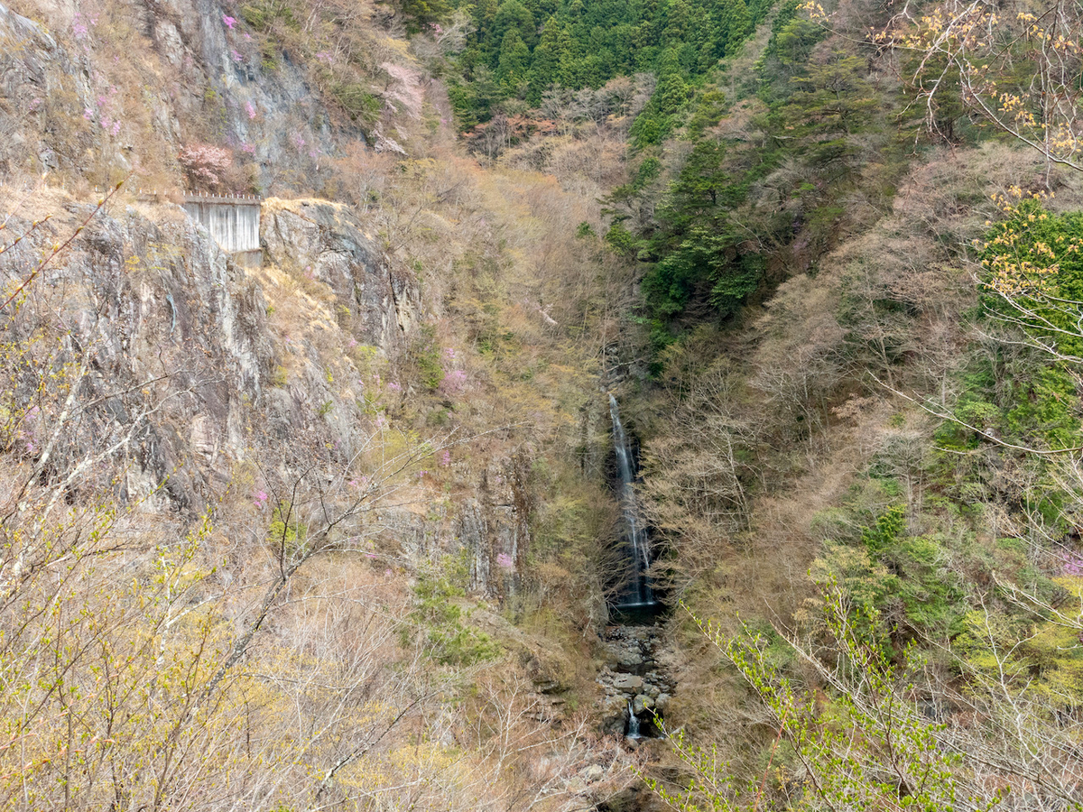 f:id:saetta0404:20210412222259j:plain