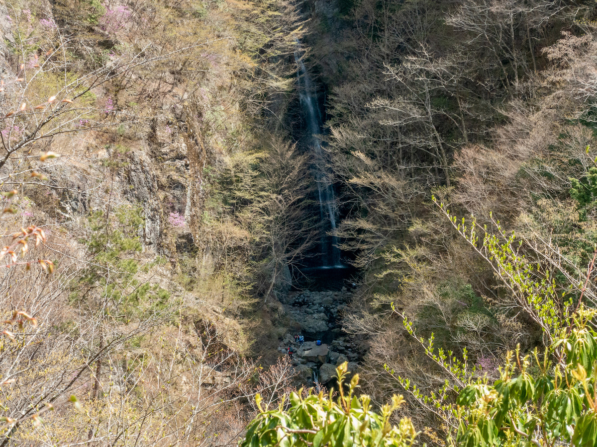 f:id:saetta0404:20210413061637j:plain