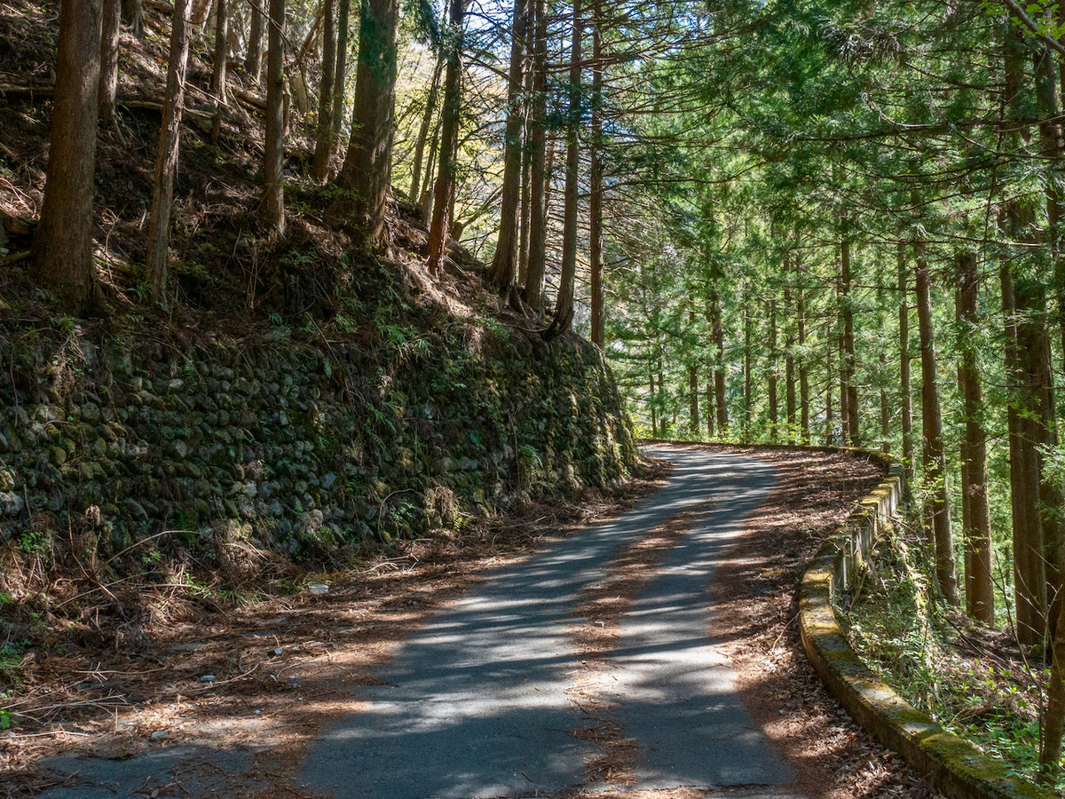 f:id:saetta0404:20210413062653j:plain