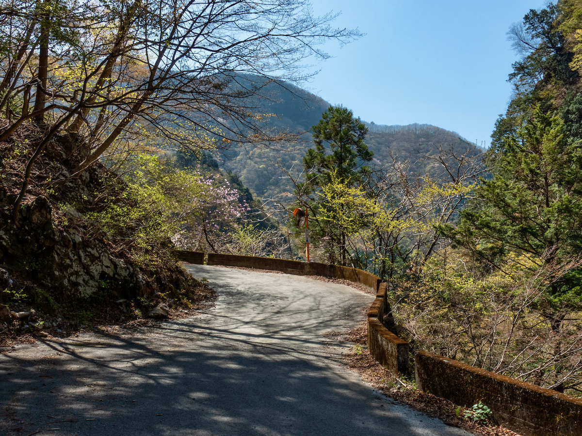 f:id:saetta0404:20210413062925j:plain