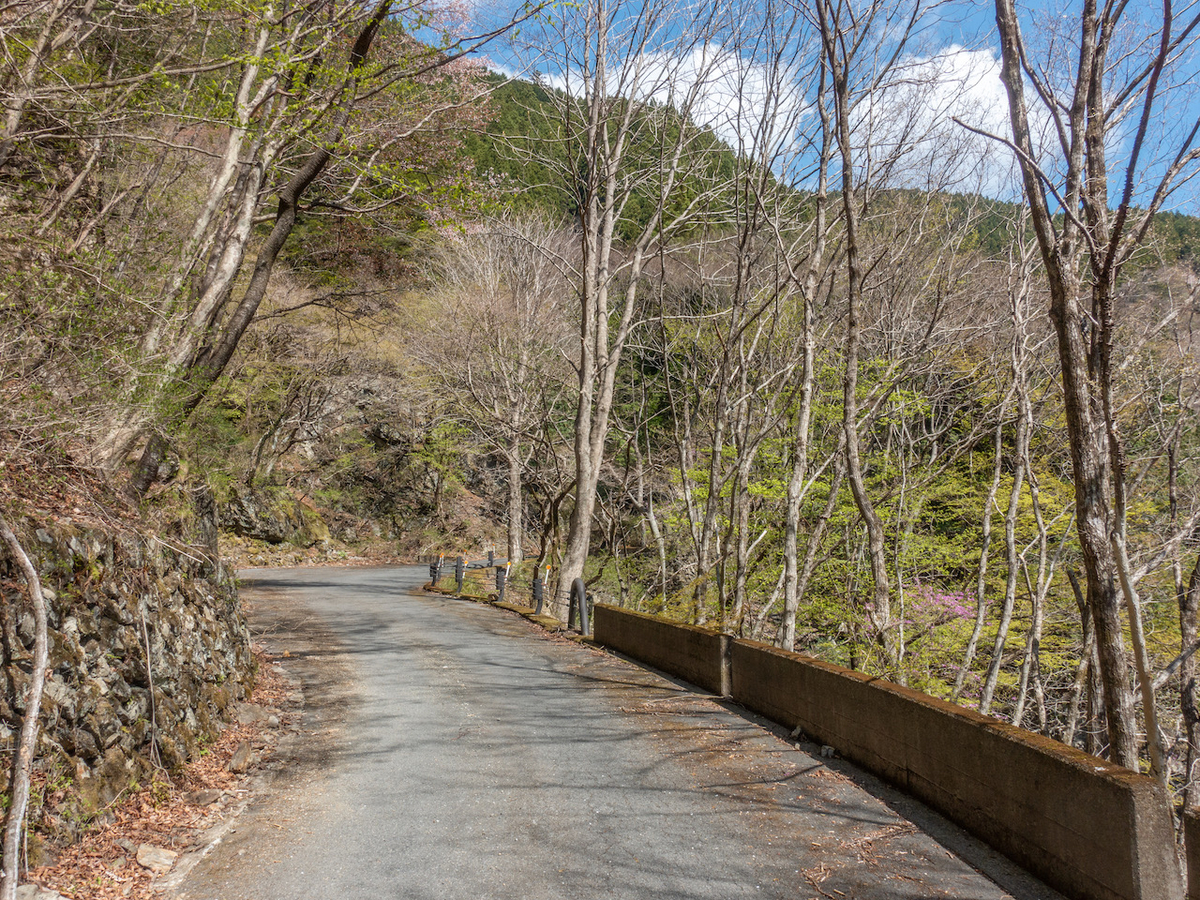 f:id:saetta0404:20210413063240j:plain