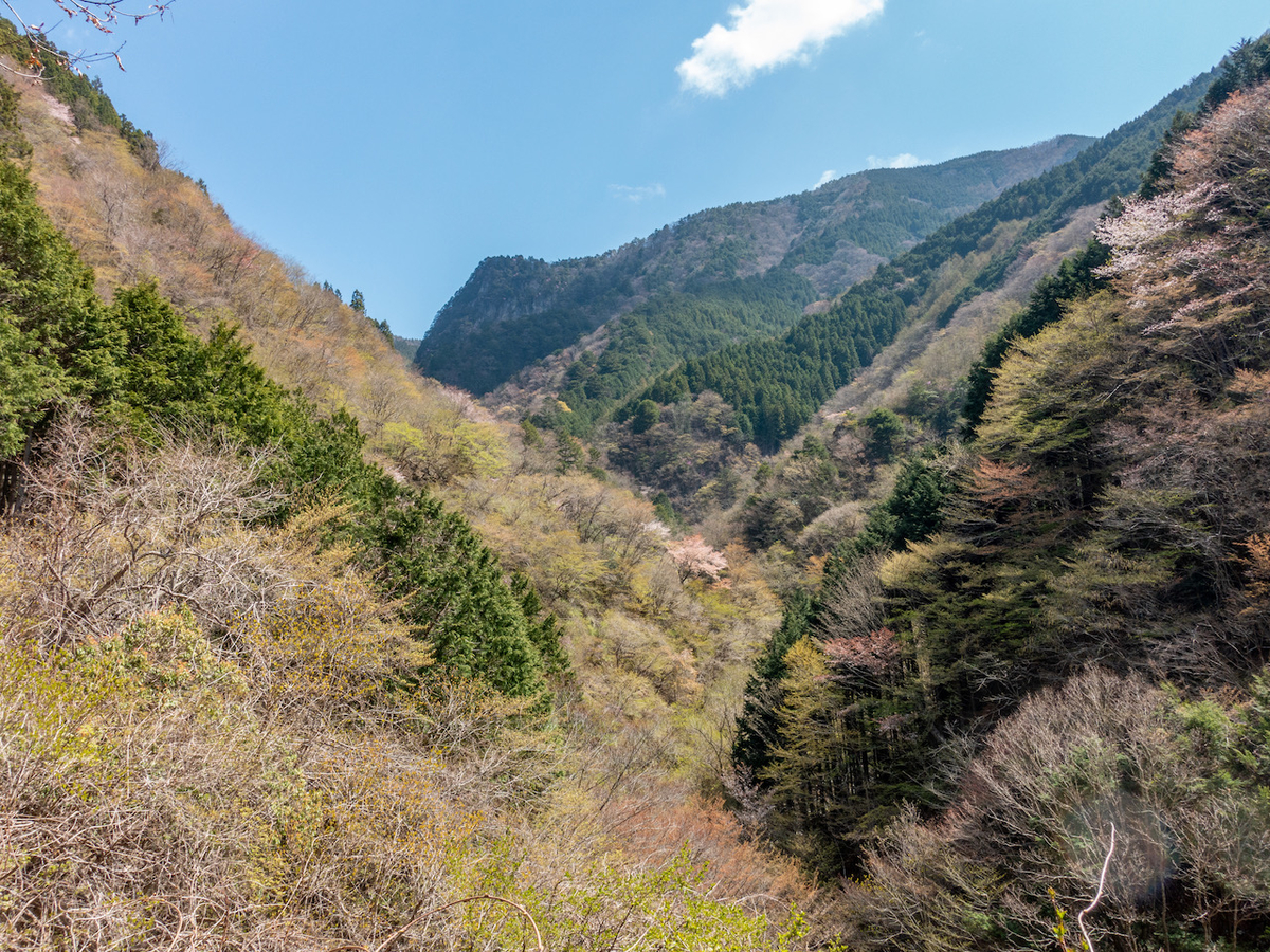 f:id:saetta0404:20210413063315j:plain