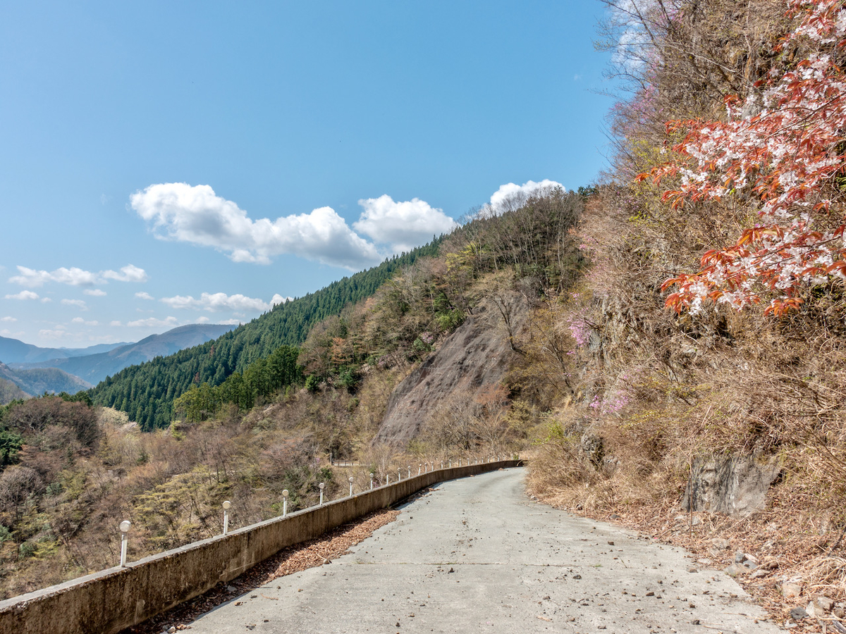 f:id:saetta0404:20210413063351j:plain