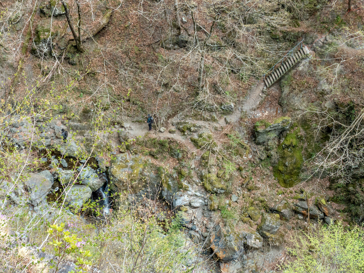 f:id:saetta0404:20210413063451j:plain