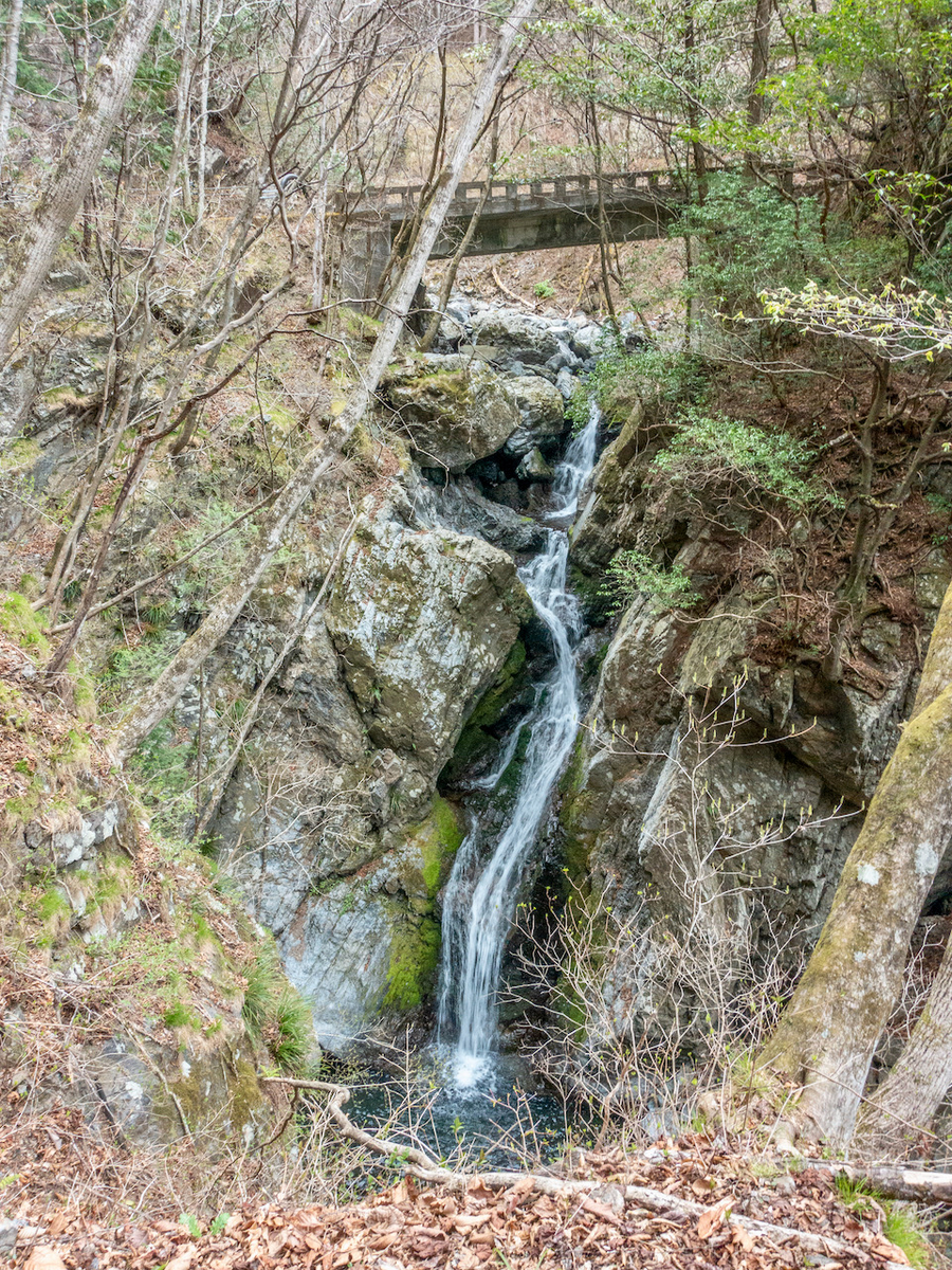 f:id:saetta0404:20210413063537j:plain