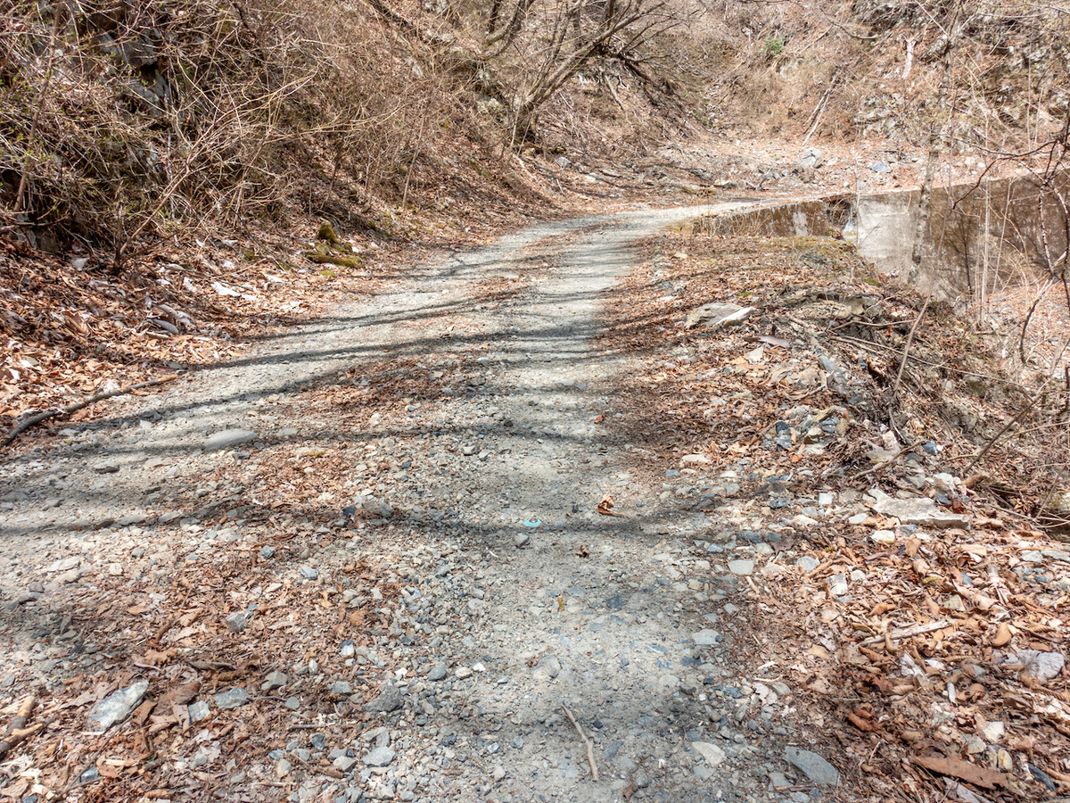 f:id:saetta0404:20210413063658j:plain