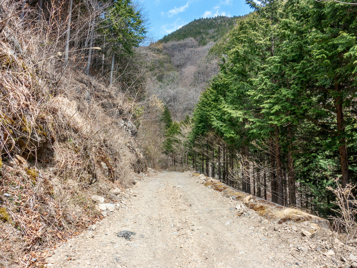 f:id:saetta0404:20210413064001j:plain