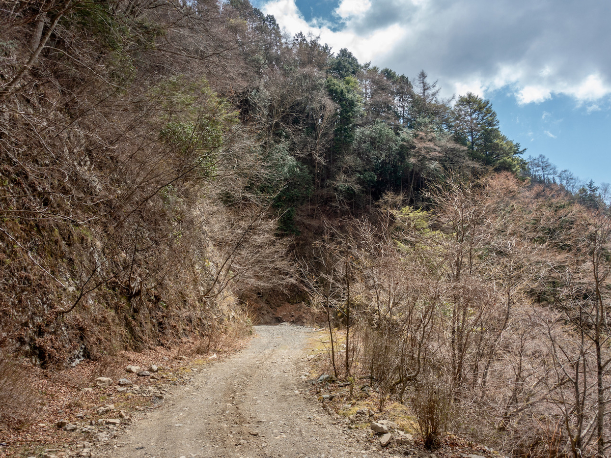 f:id:saetta0404:20210413064037j:plain