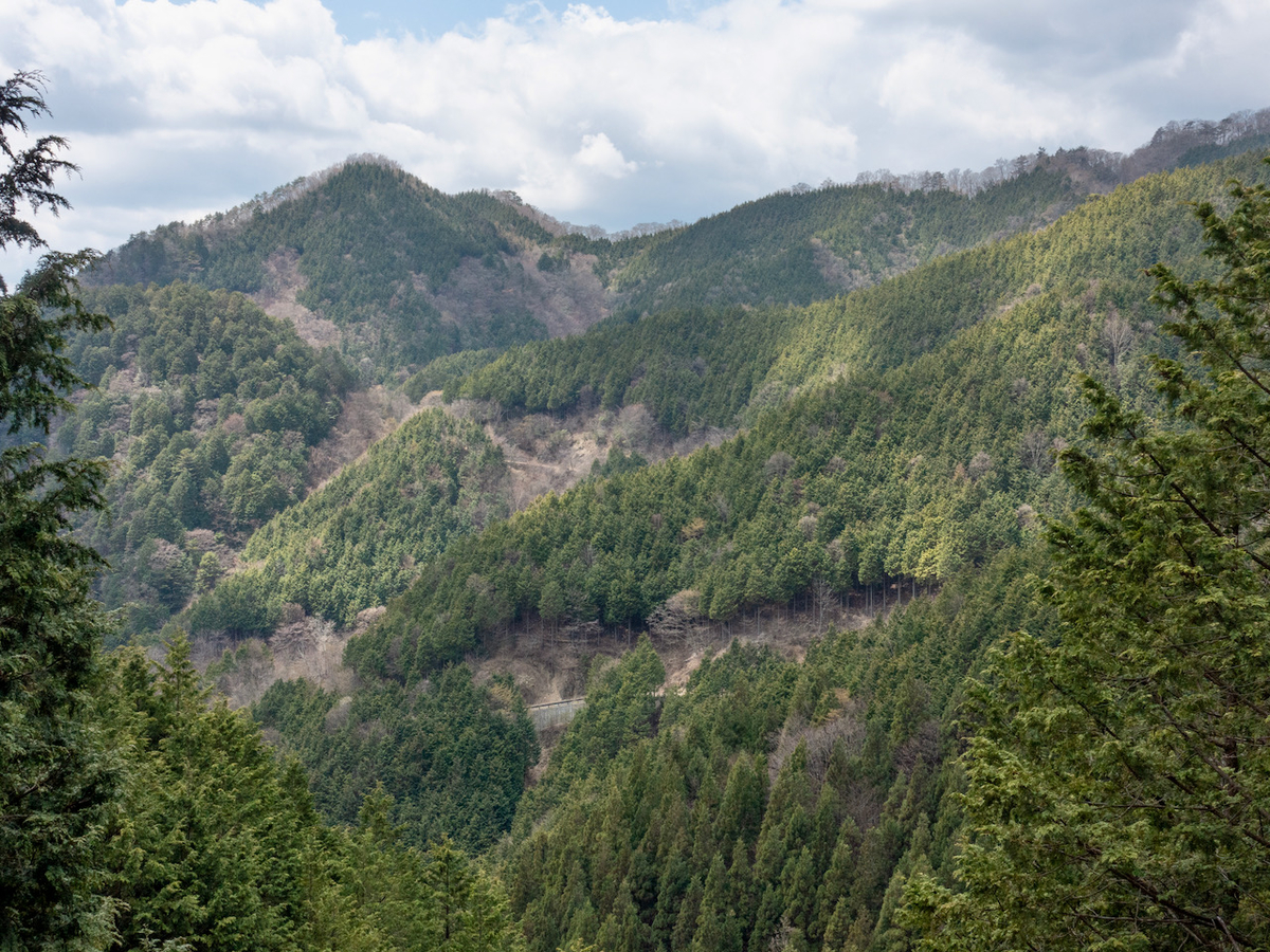 f:id:saetta0404:20210413064108j:plain