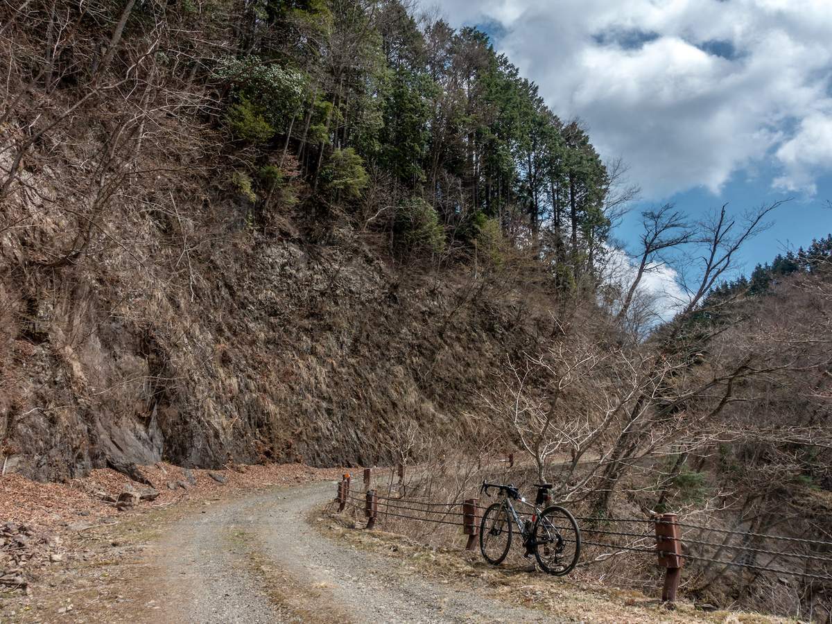 f:id:saetta0404:20210413064142j:plain