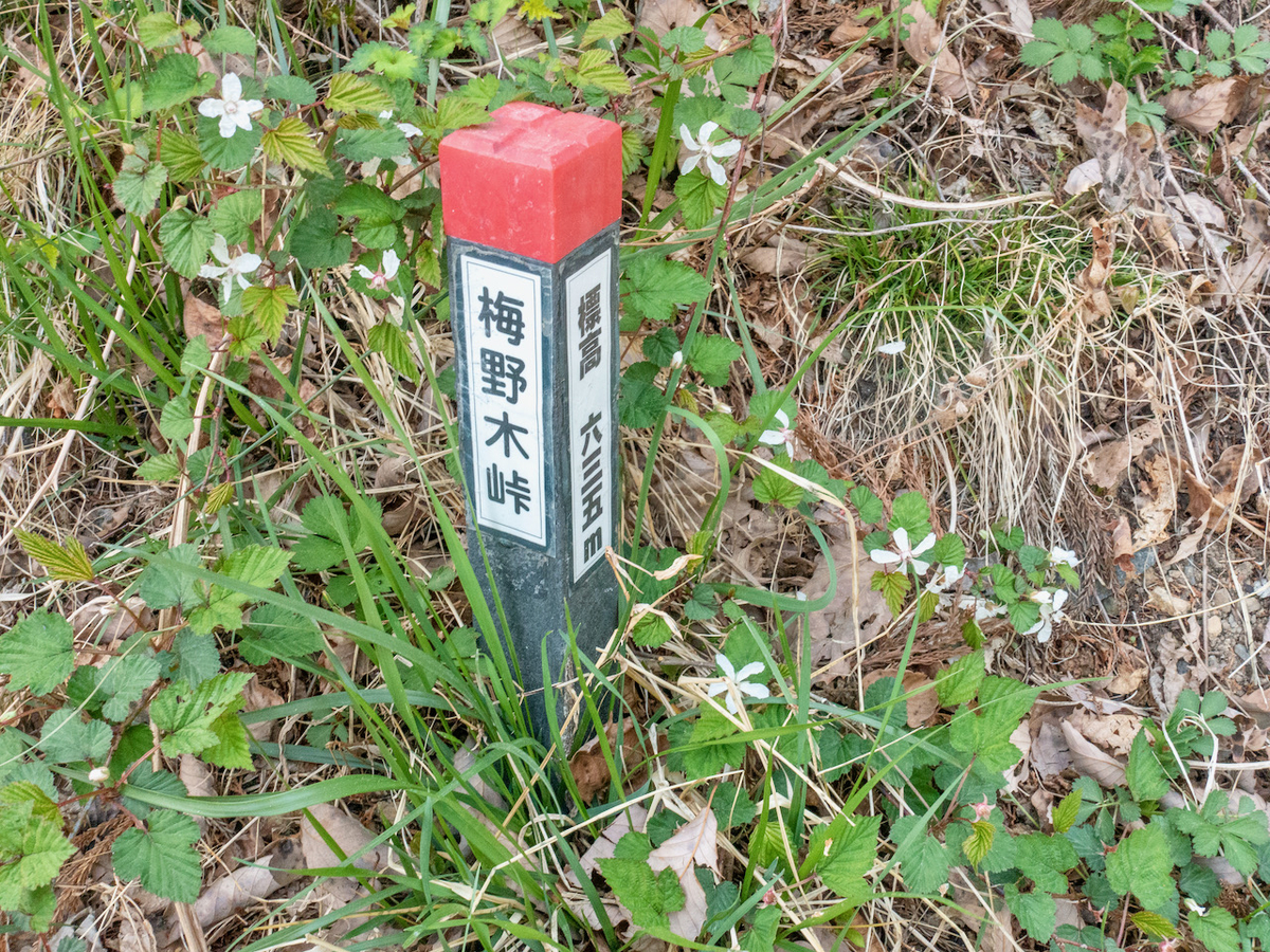 f:id:saetta0404:20210413064414j:plain