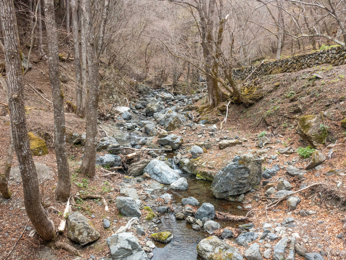 f:id:saetta0404:20210413065157j:plain