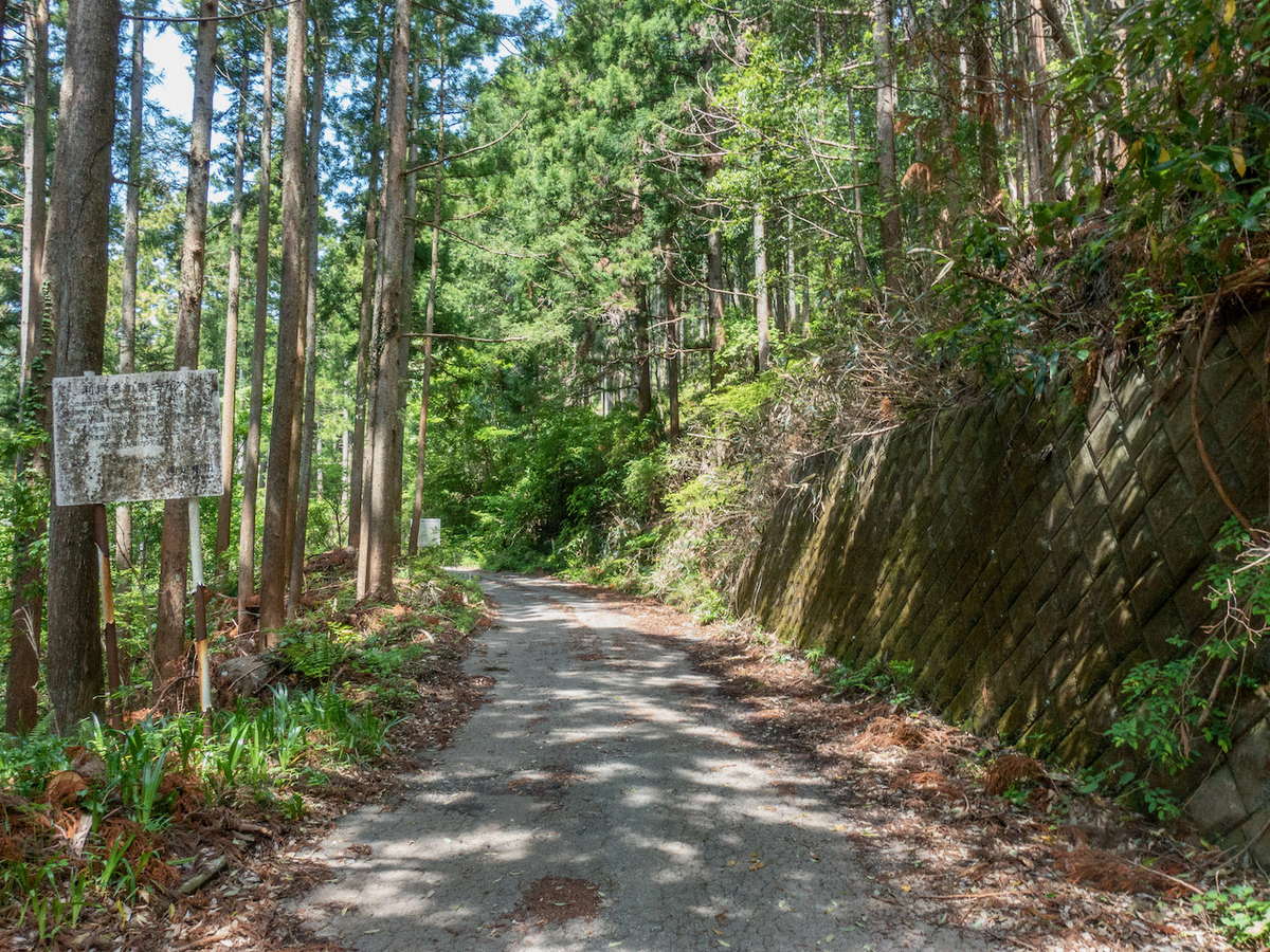 f:id:saetta0404:20210510084241j:plain