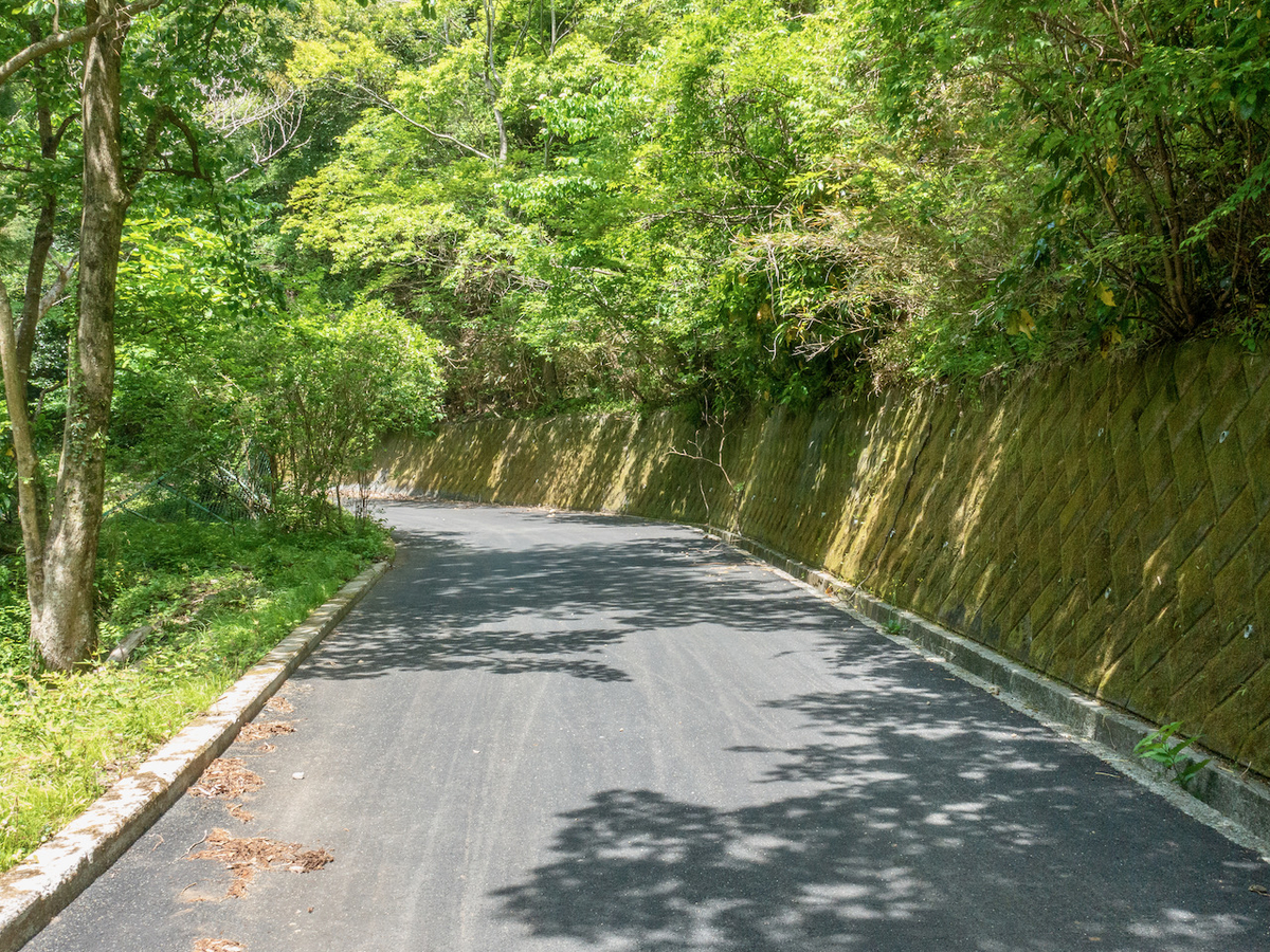 f:id:saetta0404:20210510084308j:plain