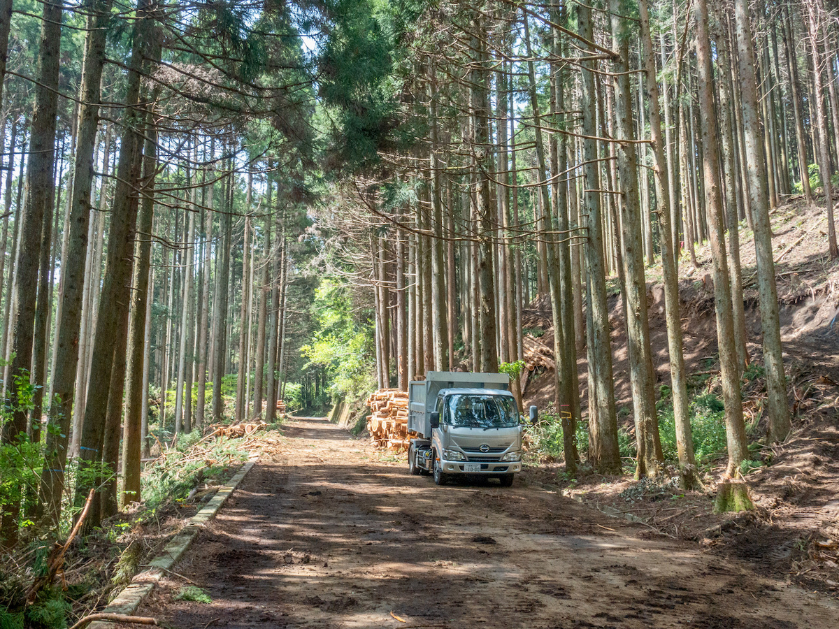 f:id:saetta0404:20210510084337j:plain