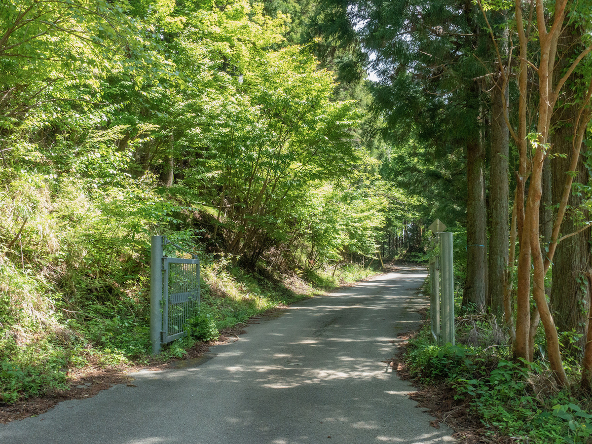 f:id:saetta0404:20210510084447j:plain