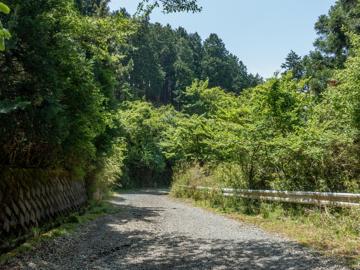 f:id:saetta0404:20210510084902j:plain