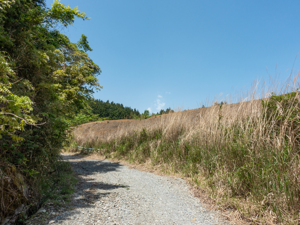 f:id:saetta0404:20210510084940j:plain