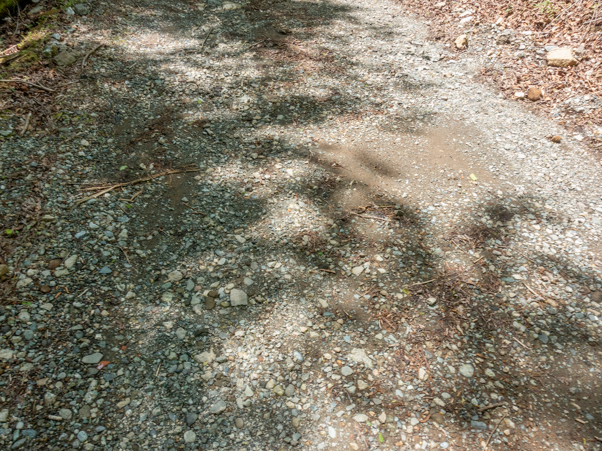 f:id:saetta0404:20210510085046j:plain