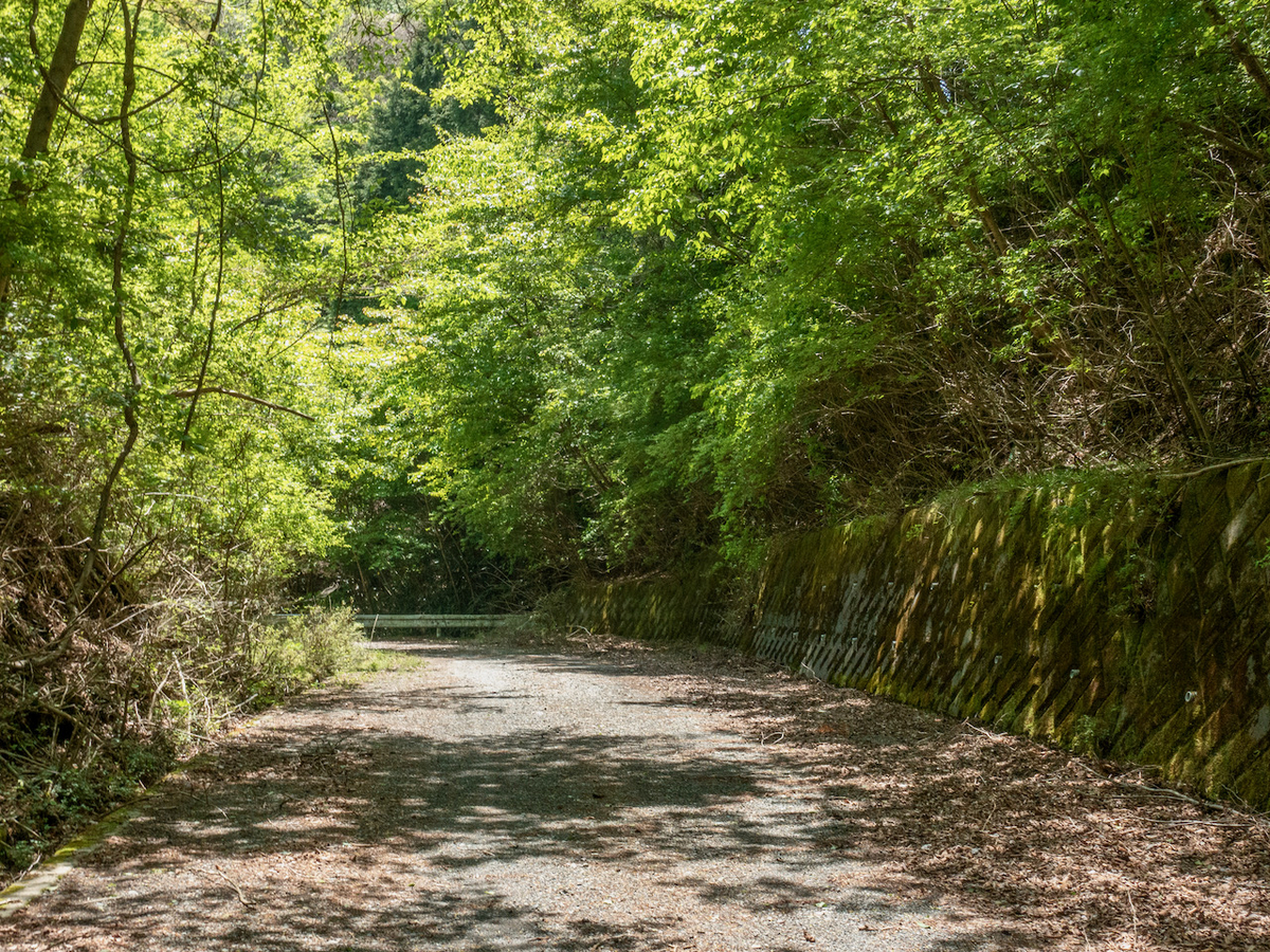 f:id:saetta0404:20210510085123j:plain