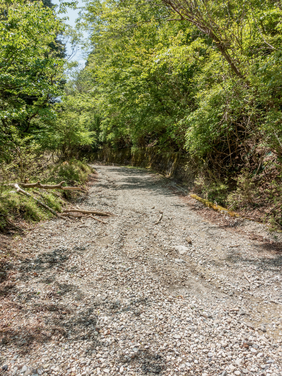 f:id:saetta0404:20210510085155j:plain