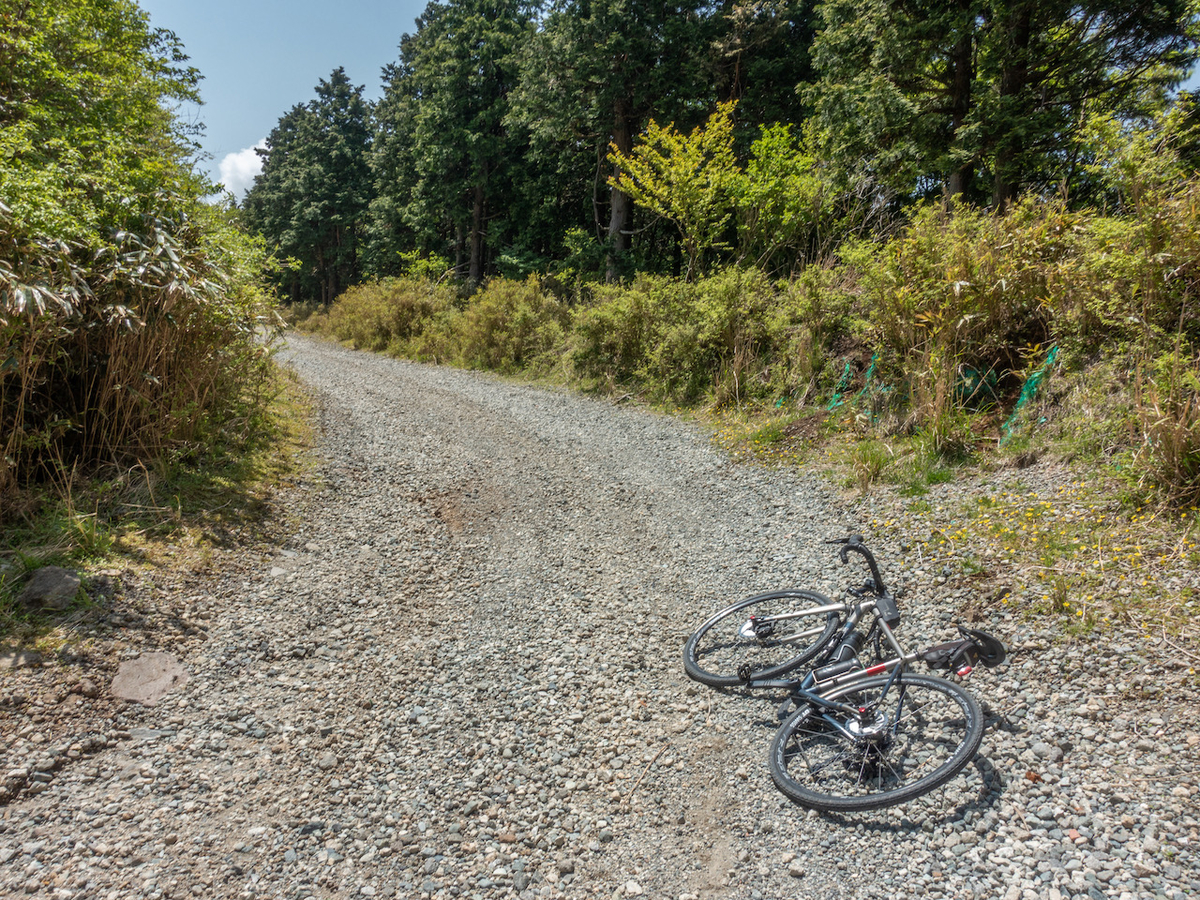 f:id:saetta0404:20210510085303j:plain