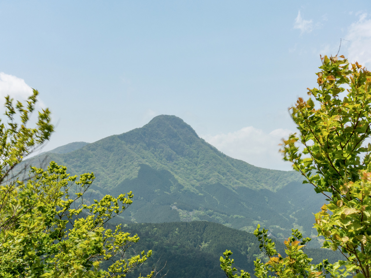 f:id:saetta0404:20210510085410j:plain