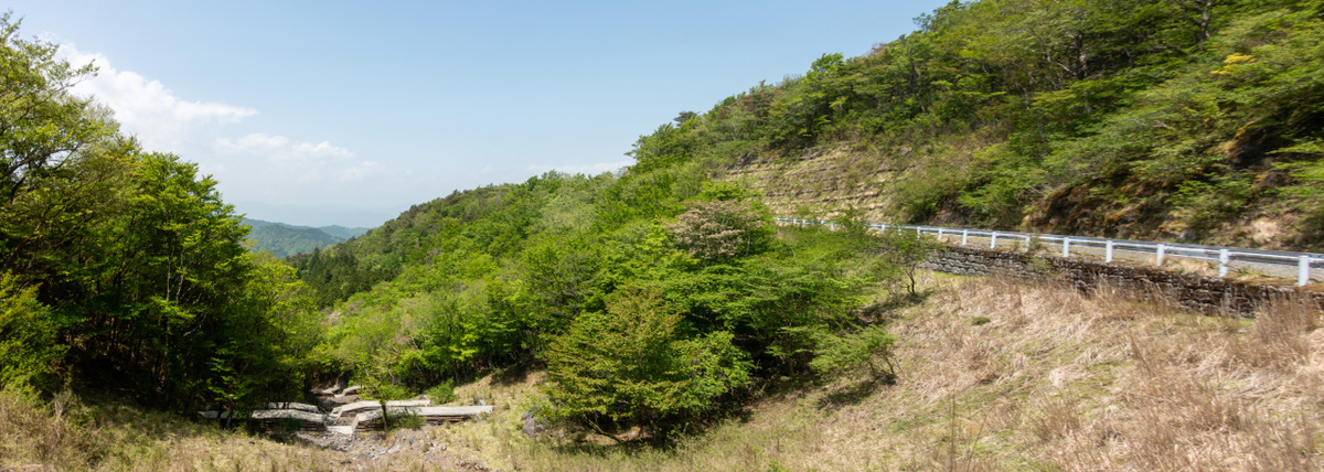 f:id:saetta0404:20210510085446j:plain