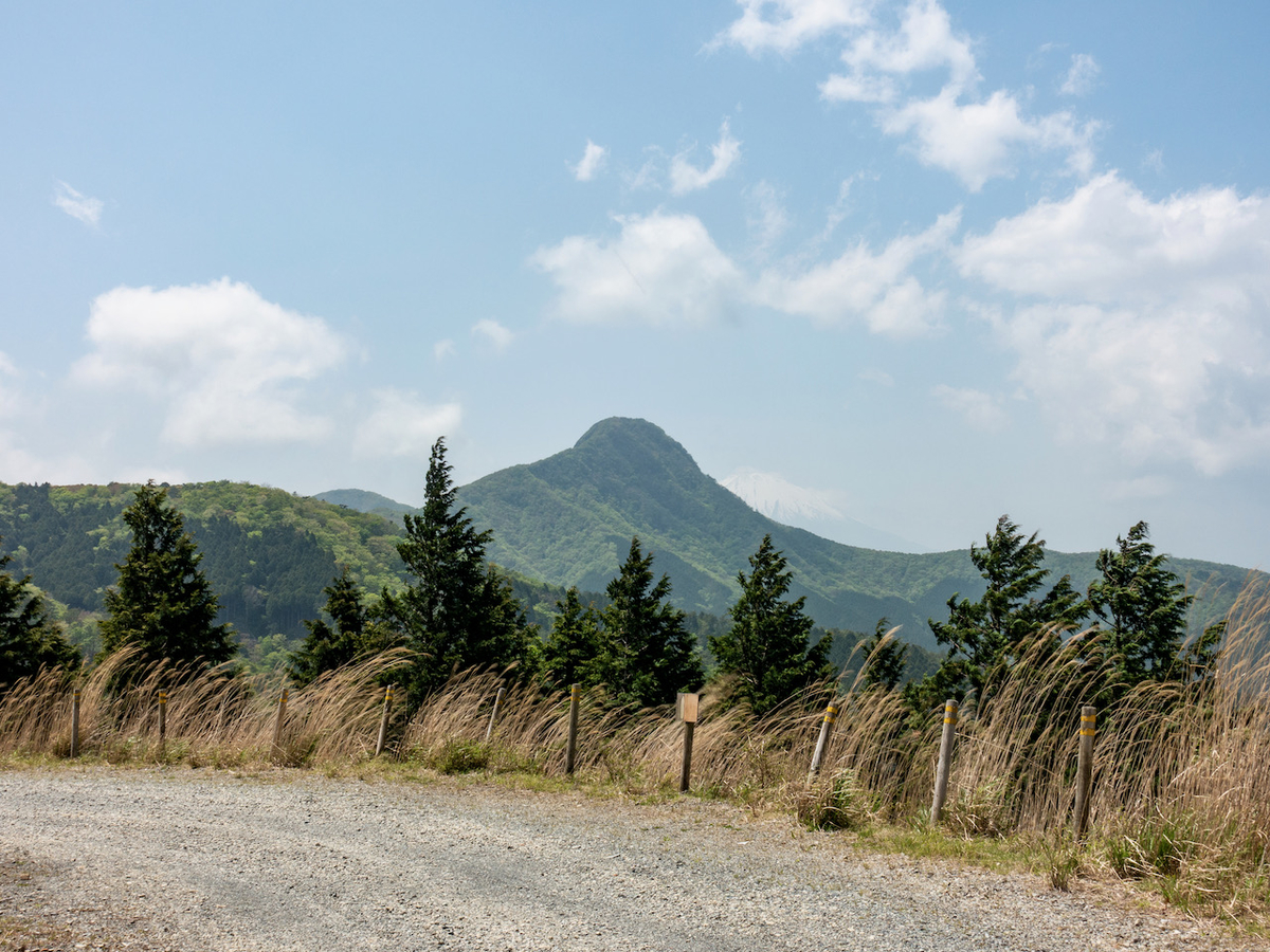 f:id:saetta0404:20210510085524j:plain