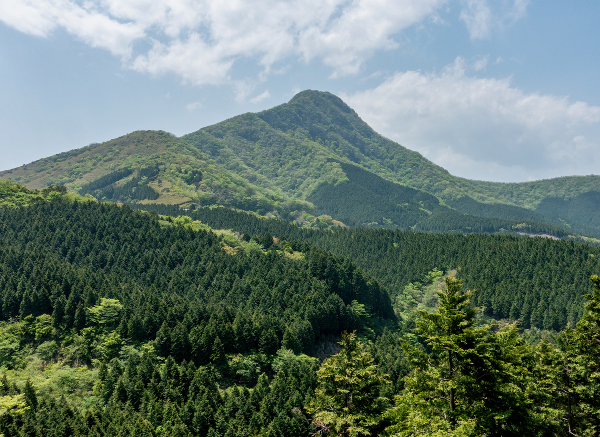 f:id:saetta0404:20210510085753j:plain