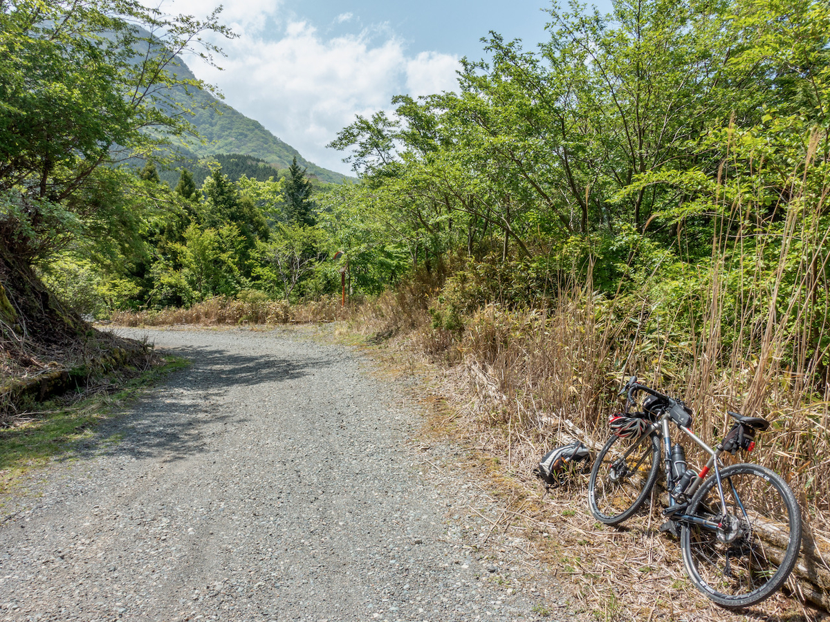 f:id:saetta0404:20210510085820j:plain