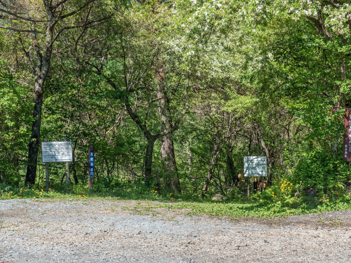 f:id:saetta0404:20210530070825j:plain