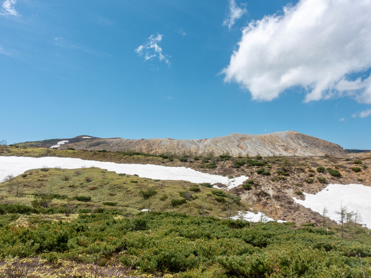 f:id:saetta0404:20210530071537j:plain