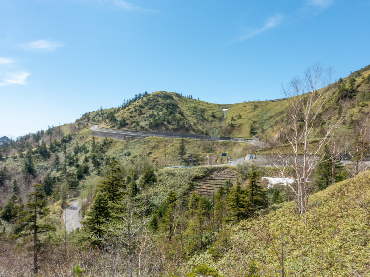 f:id:saetta0404:20210530071649j:plain