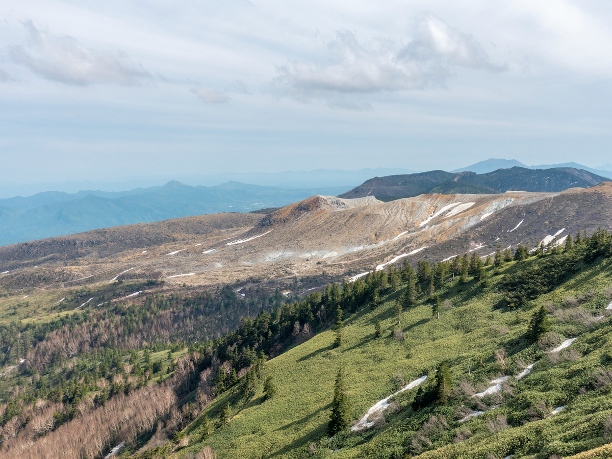 f:id:saetta0404:20210530072222j:plain