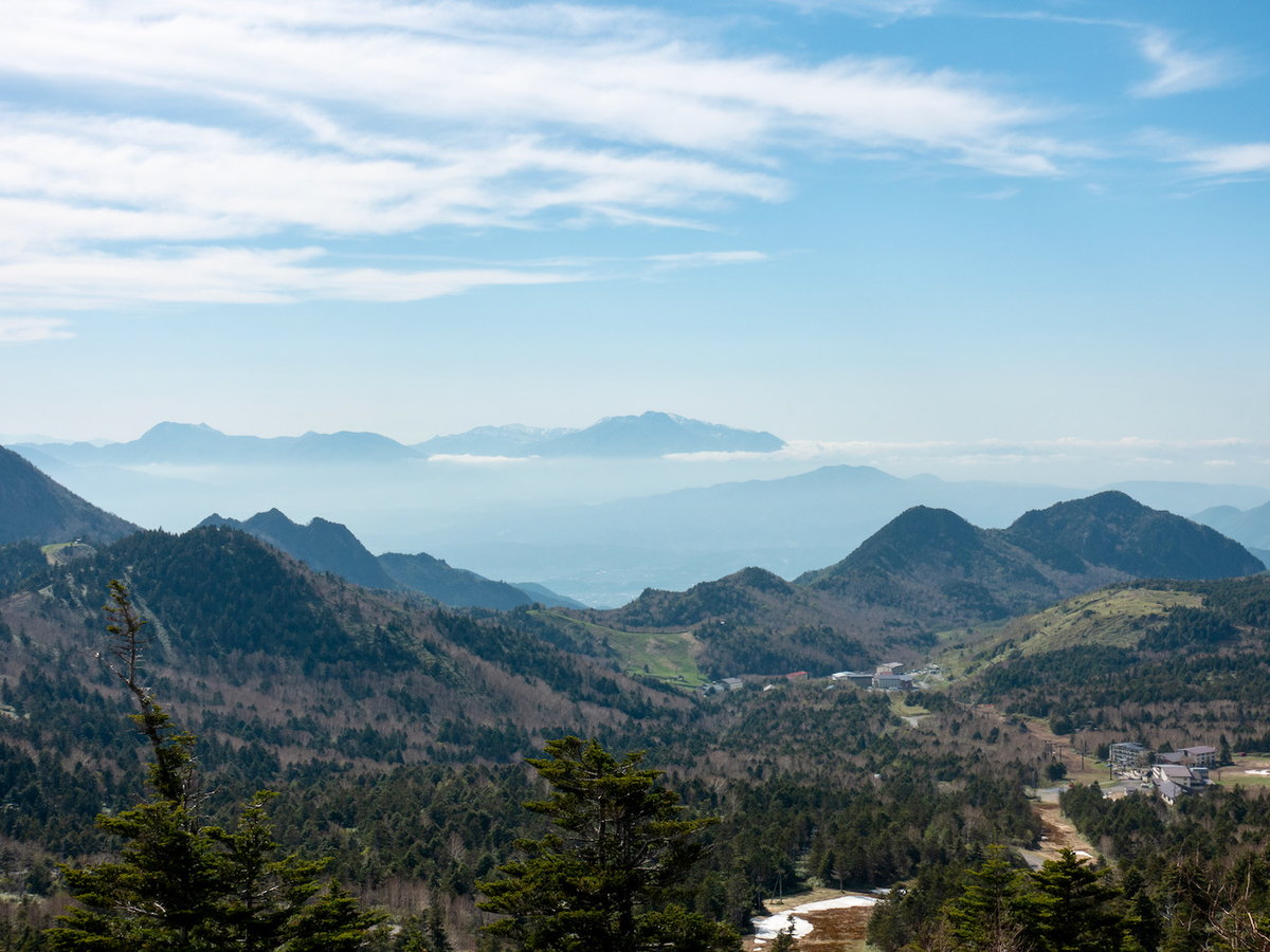 f:id:saetta0404:20210530072605j:plain