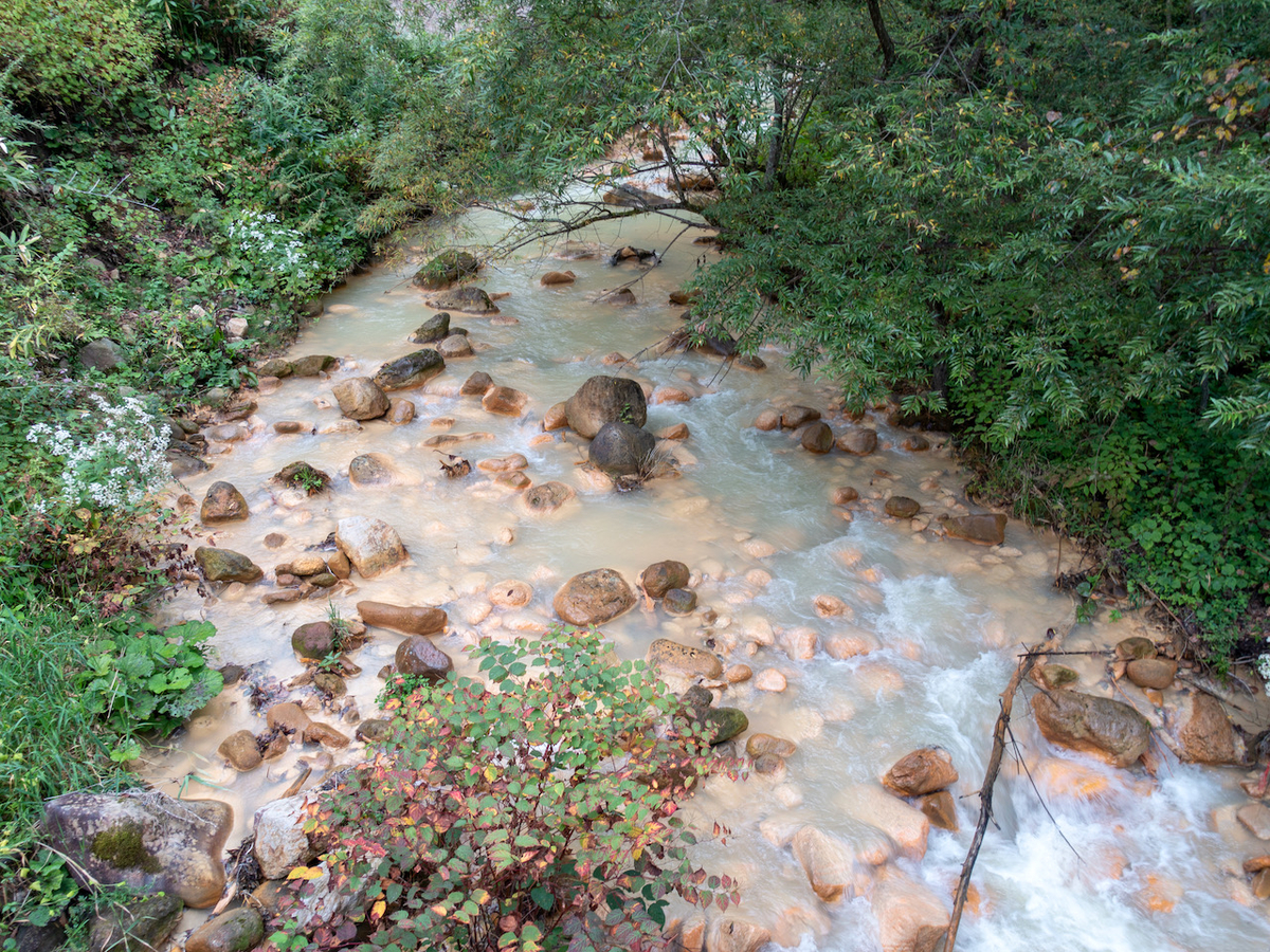 f:id:saetta0404:20210926182931j:plain