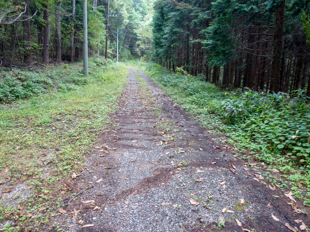 f:id:saetta0404:20210926182951j:plain