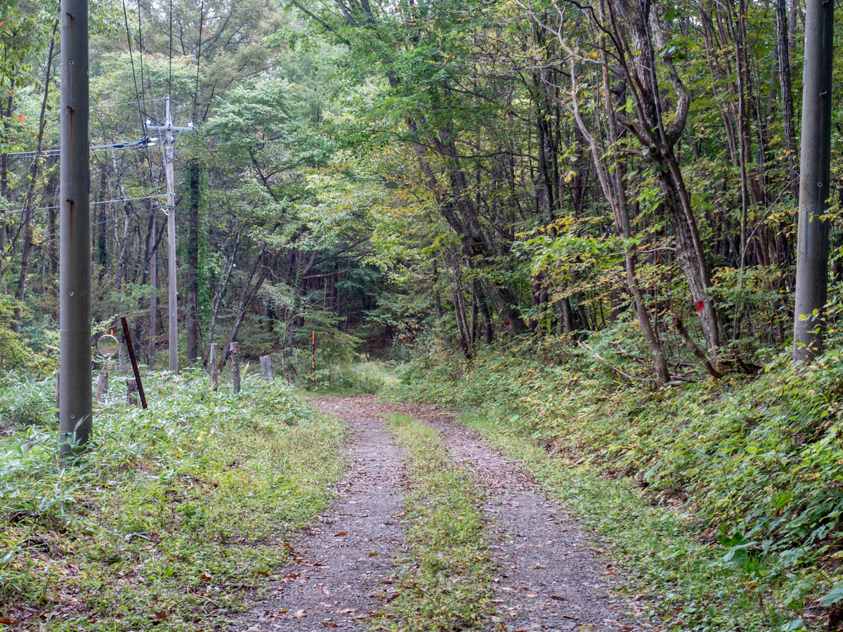 f:id:saetta0404:20210926183004j:plain