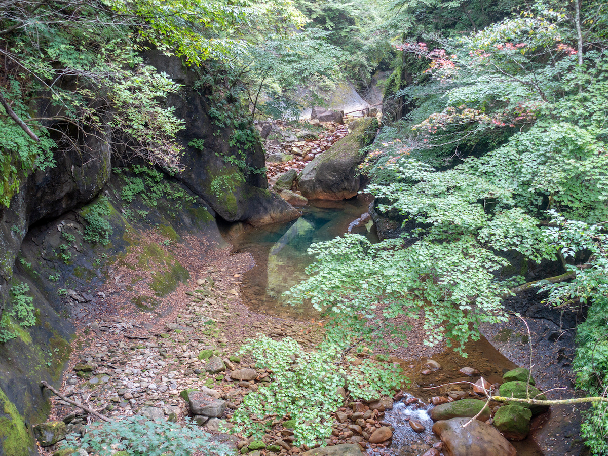 f:id:saetta0404:20210926183157j:plain