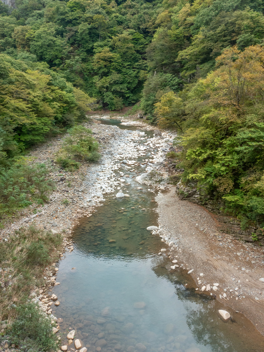 f:id:saetta0404:20210926183728j:plain