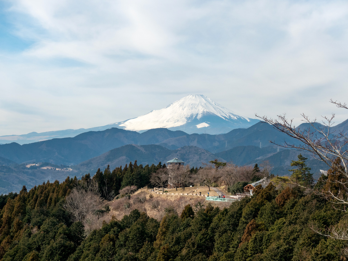 f:id:saetta0404:20220116101231j:plain