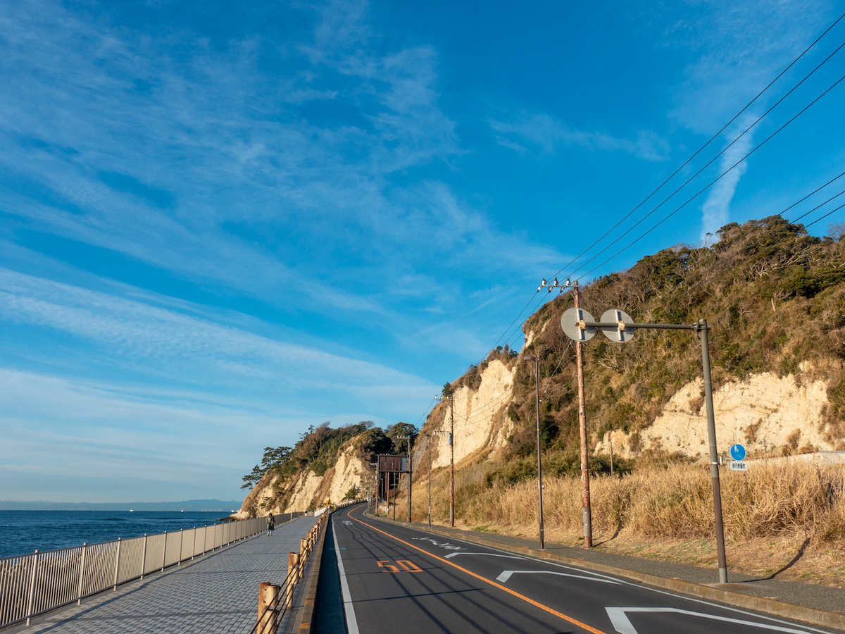 f:id:saetta0404:20220116101656j:plain