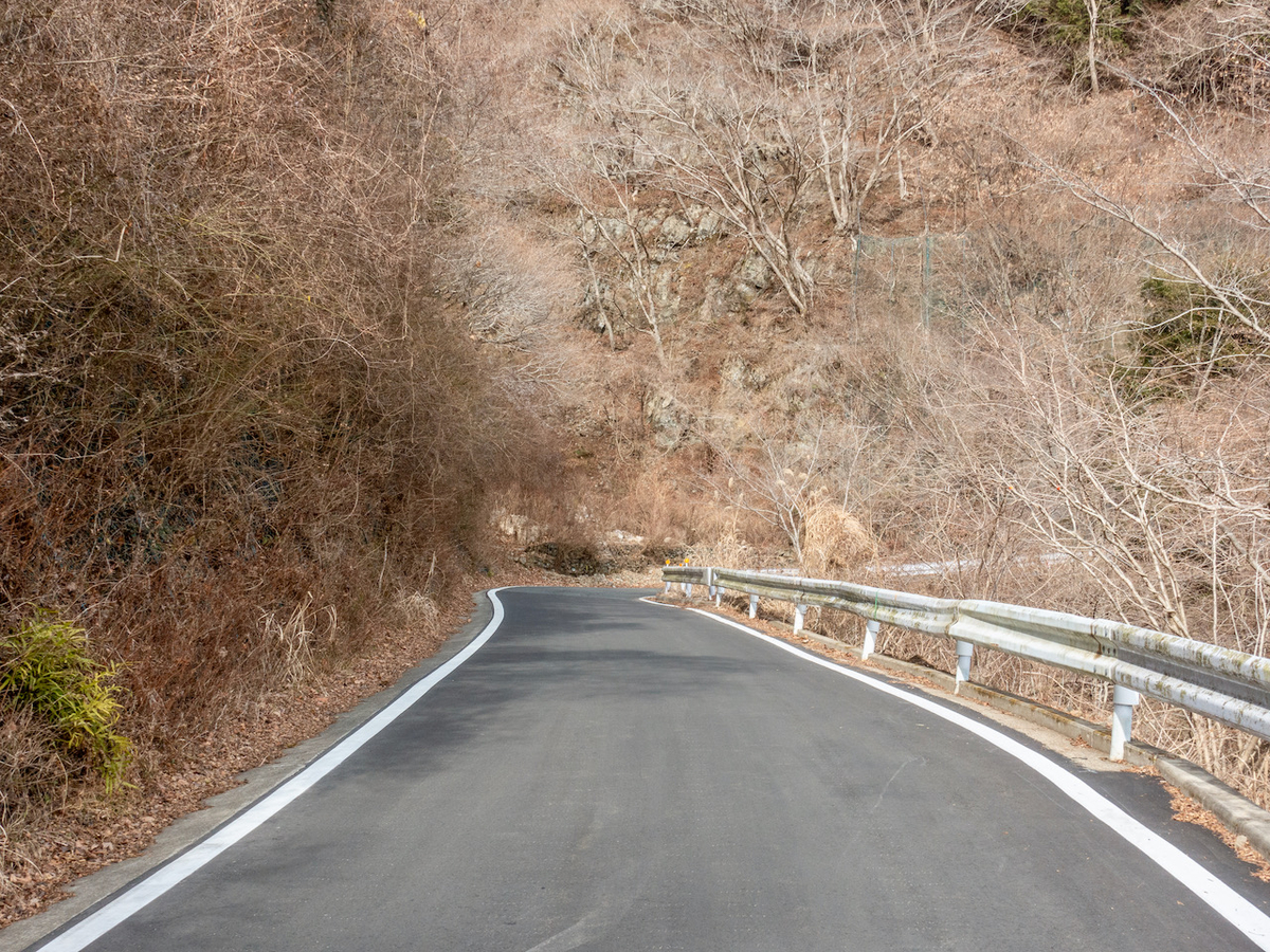 f:id:saetta0404:20220116101812j:plain