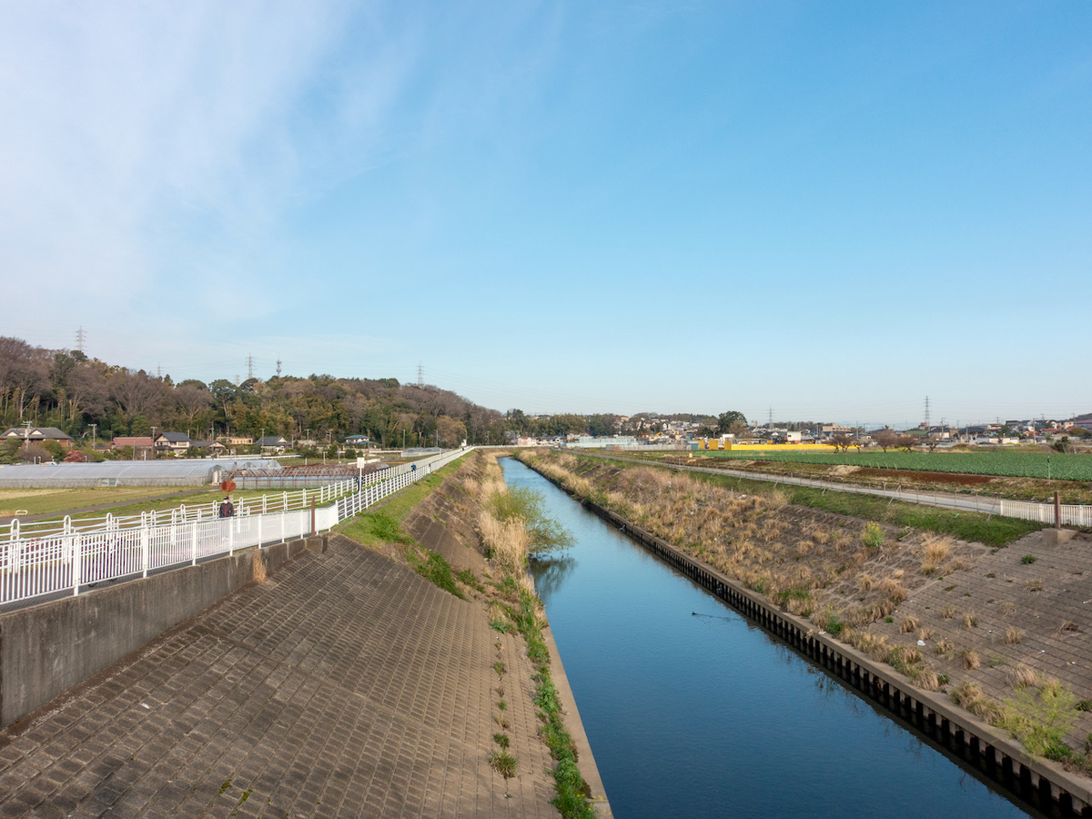 f:id:saetta0404:20220403172121j:plain